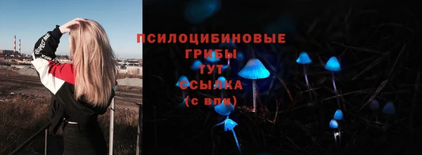 хмурый Вязники