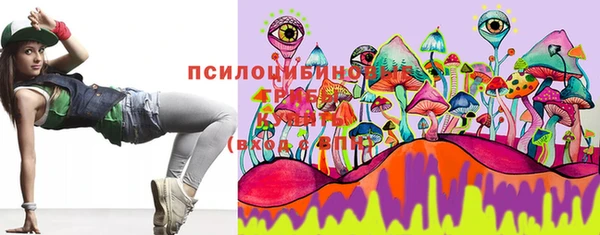 хмурый Вязники